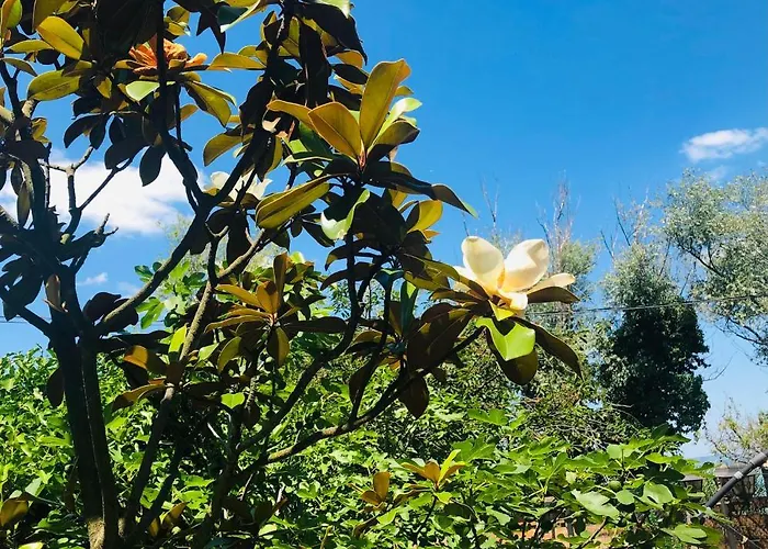 Bella Garden *