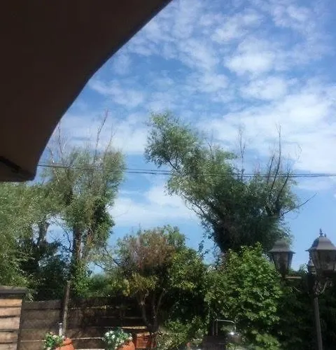 Bella Garden